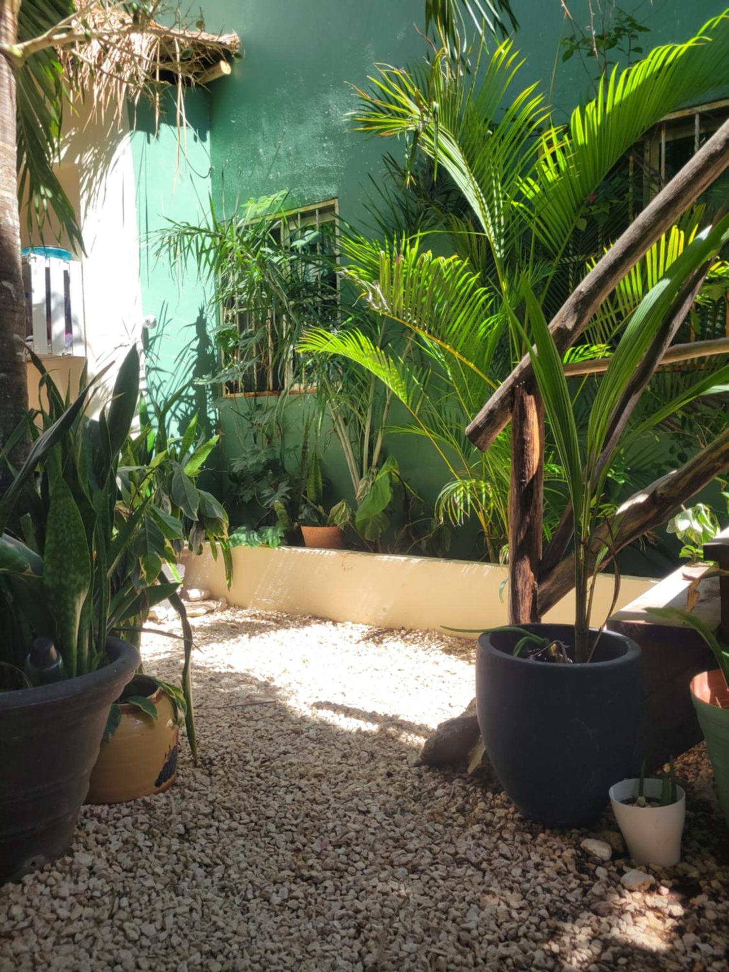 Ferienwohnung The Secret Garden Tulum Exterior foto