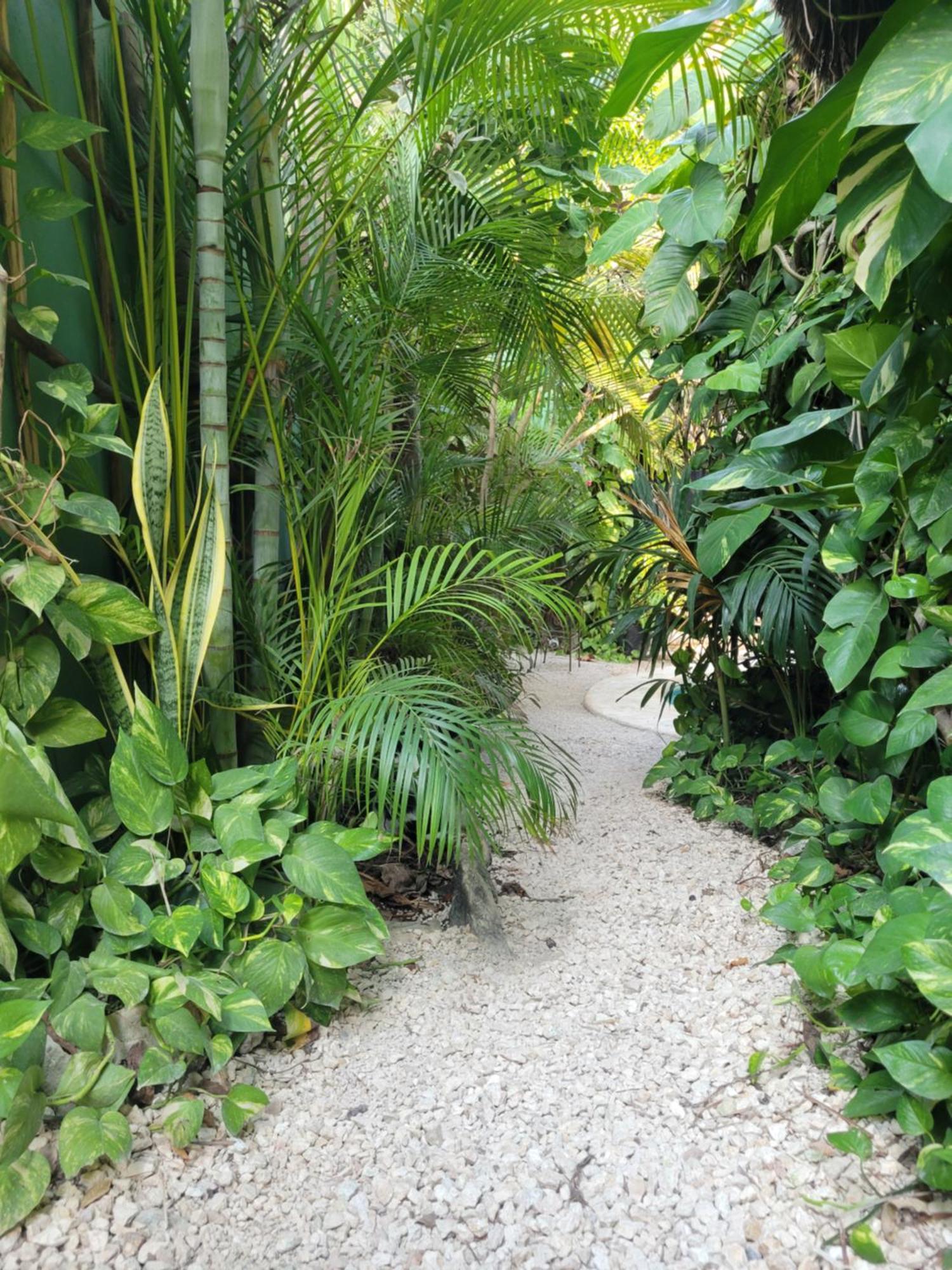 Ferienwohnung The Secret Garden Tulum Exterior foto